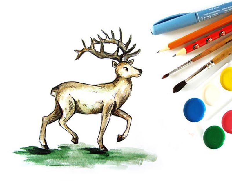 Cómo dibujar un reno a lápiz - Instrucciones fáciles paso a paso para  principiantes y niños